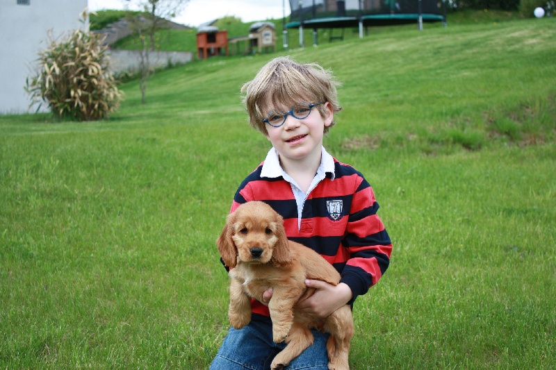 Nos chiots dans leurs familles